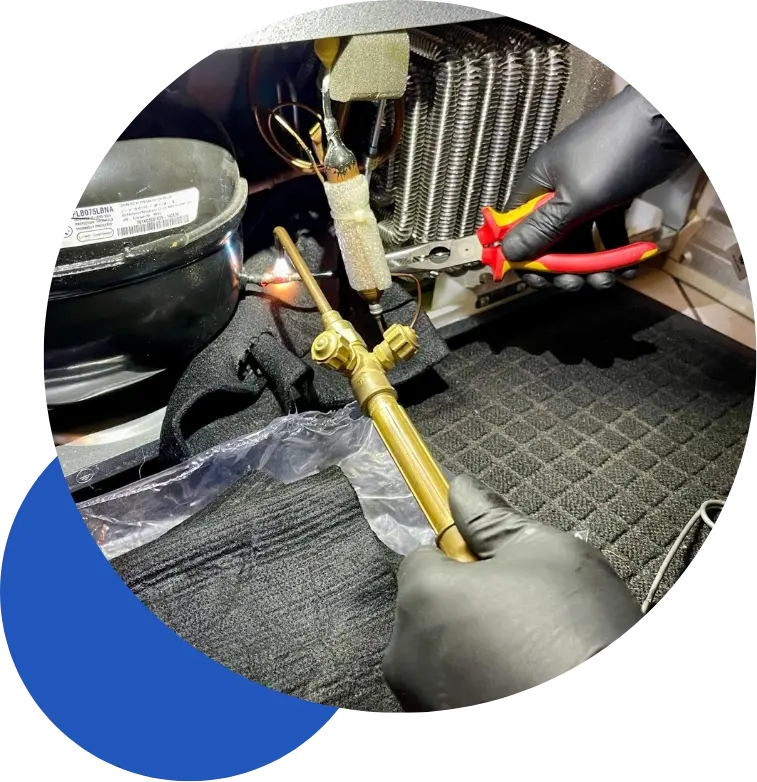 Calidad y Satisfacción en cada servicio